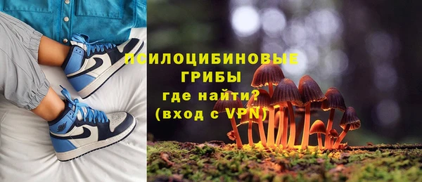 мдма Бородино