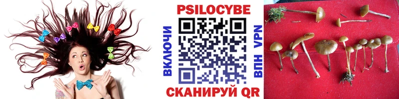 Галлюциногенные грибы MAGIC MUSHROOMS  Весьегонск 