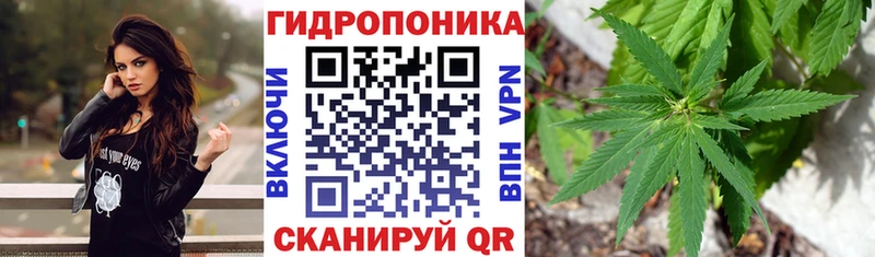 Каннабис VHQ Весьегонск